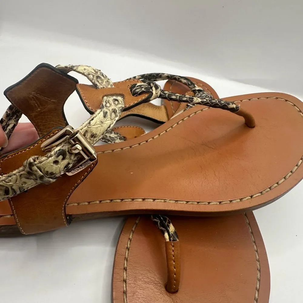 Coach Clarkson women,Snake print, Roccia Ginger thong Sandal Size 6